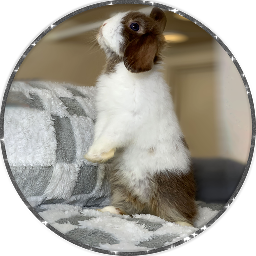 Buntastic Bunnies Logo